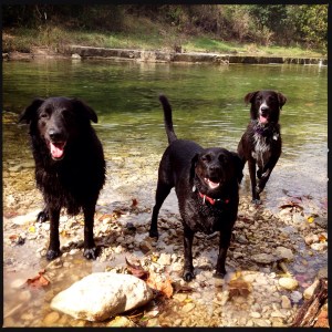 originalphoto-468963970.047106